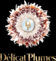 Delicat-plumes.com