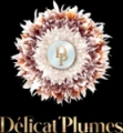 Delicat-plumes.com