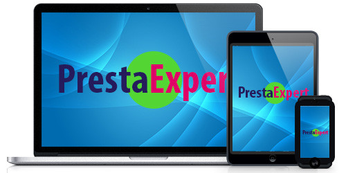 Référencement Google sur PrestaExpert.com